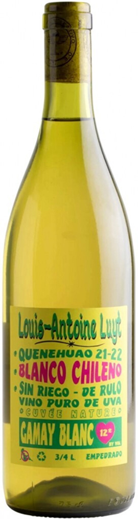 Louis-Antoine Luyt Gamay Blanc